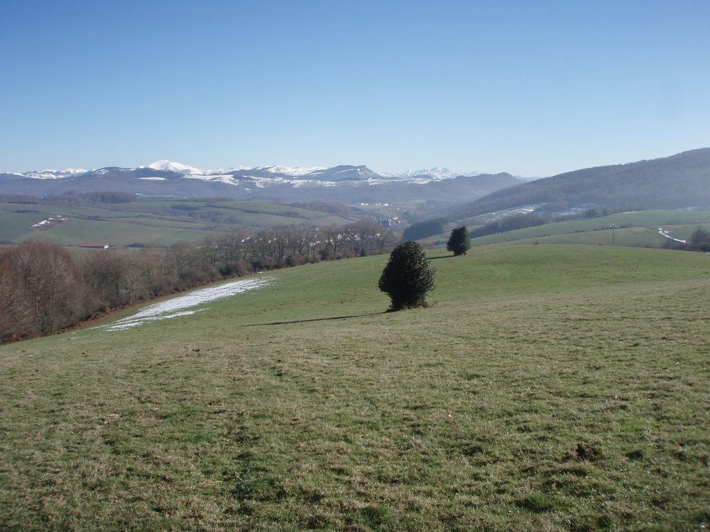 Casa Rural Irugoienea Espinal-Auzperri Buitenkant foto